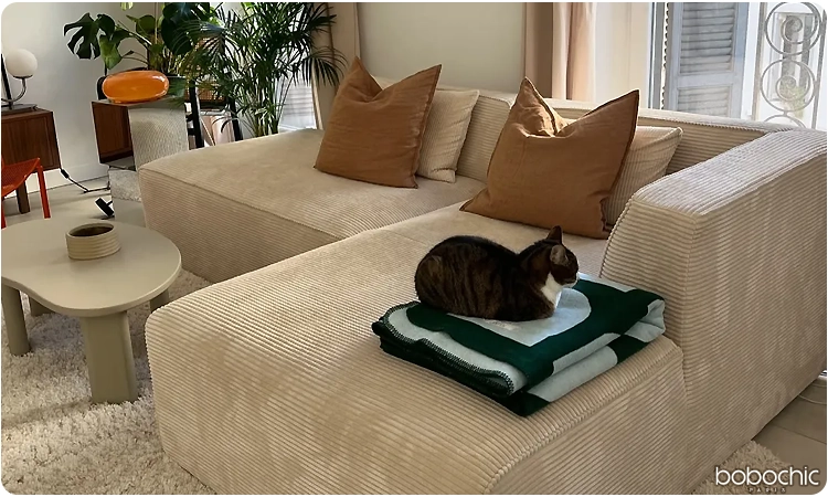 Ne négligez jamais l'importance d'avoir un salon aéré et simple d'utilisation